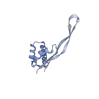 29214_8fiz_BZ_v1-0
Cryo-EM structure of E. coli 70S Ribosome containing mRNA and tRNA (in the transcription-translation complex)