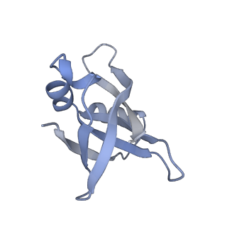 29214_8fiz_DC_v1-0
Cryo-EM structure of E. coli 70S Ribosome containing mRNA and tRNA (in the transcription-translation complex)
