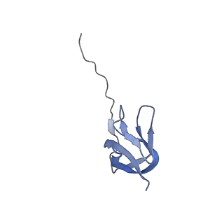29214_8fiz_DD_v1-0
Cryo-EM structure of E. coli 70S Ribosome containing mRNA and tRNA (in the transcription-translation complex)