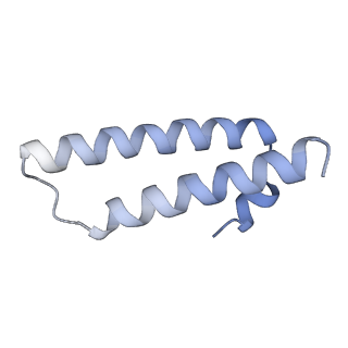 29214_8fiz_DF_v1-0
Cryo-EM structure of E. coli 70S Ribosome containing mRNA and tRNA (in the transcription-translation complex)