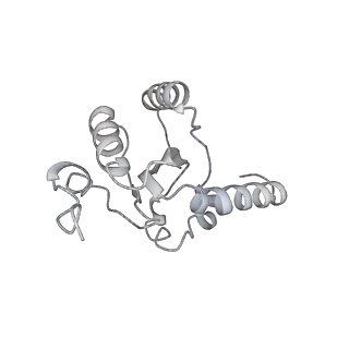 29214_8fiz_DG_v1-0
Cryo-EM structure of E. coli 70S Ribosome containing mRNA and tRNA (in the transcription-translation complex)