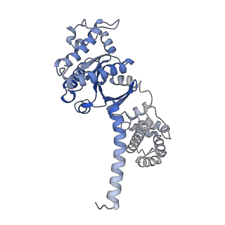 31596_7fig_A_v1-1
luteinizing hormone/choriogonadotropin receptor(S277I)-chorionic gonadotropin-Gs complex