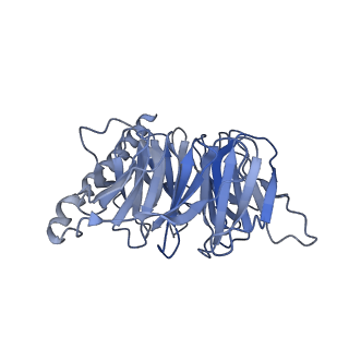 31596_7fig_B_v1-1
luteinizing hormone/choriogonadotropin receptor(S277I)-chorionic gonadotropin-Gs complex
