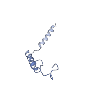 31596_7fig_G_v1-1
luteinizing hormone/choriogonadotropin receptor(S277I)-chorionic gonadotropin-Gs complex