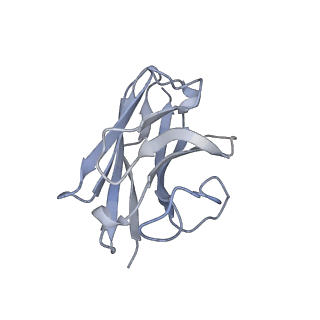 31596_7fig_N_v1-1
luteinizing hormone/choriogonadotropin receptor(S277I)-chorionic gonadotropin-Gs complex