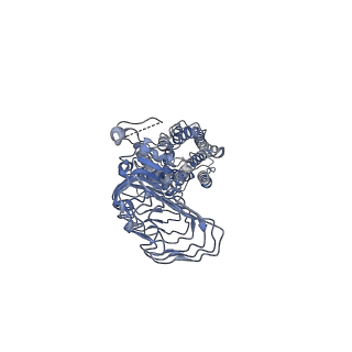 31596_7fig_R_v1-1
luteinizing hormone/choriogonadotropin receptor(S277I)-chorionic gonadotropin-Gs complex