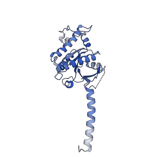 31597_7fih_A_v1-1
luteinizing hormone/choriogonadotropin receptor(S277I)-chorionic gonadotropin-Gs-Org43553 complex