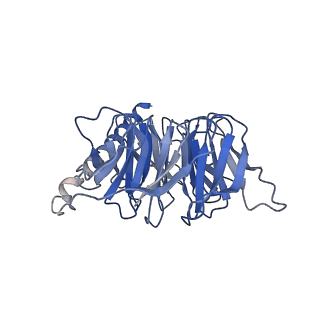 31597_7fih_B_v1-1
luteinizing hormone/choriogonadotropin receptor(S277I)-chorionic gonadotropin-Gs-Org43553 complex