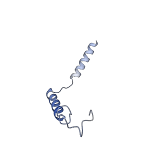 31597_7fih_G_v1-1
luteinizing hormone/choriogonadotropin receptor(S277I)-chorionic gonadotropin-Gs-Org43553 complex