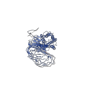 31597_7fih_R_v1-1
luteinizing hormone/choriogonadotropin receptor(S277I)-chorionic gonadotropin-Gs-Org43553 complex