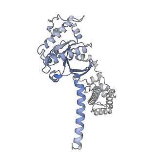 31598_7fii_A_v1-1
luteinizing hormone/choriogonadotropin receptor-chorionic gonadotropin-Gs complex