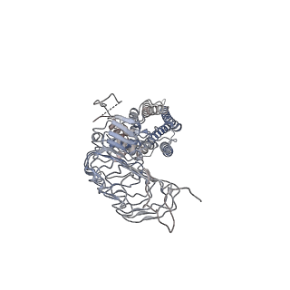 31598_7fii_R_v1-1
luteinizing hormone/choriogonadotropin receptor-chorionic gonadotropin-Gs complex