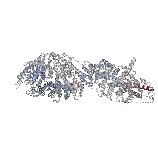 31600_7fik_A_v1-0
The cryo-EM structure of the CR subunit from X. laevis NPC