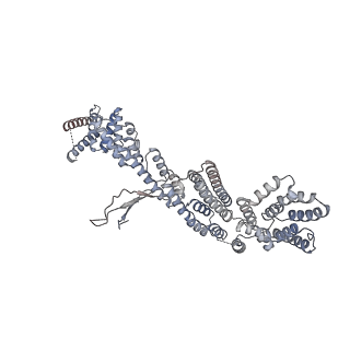 31600_7fik_B_v1-0
The cryo-EM structure of the CR subunit from X. laevis NPC