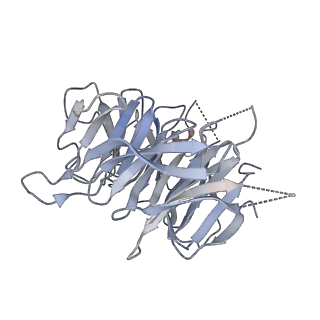 31600_7fik_C_v1-0
The cryo-EM structure of the CR subunit from X. laevis NPC