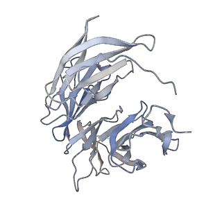 31600_7fik_D_v1-0
The cryo-EM structure of the CR subunit from X. laevis NPC