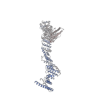 31600_7fik_E_v1-0
The cryo-EM structure of the CR subunit from X. laevis NPC