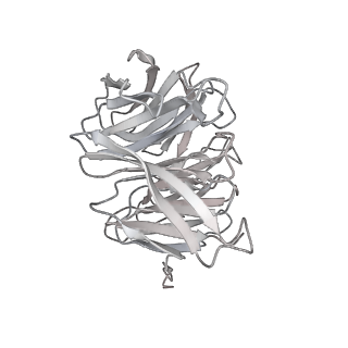 31600_7fik_F_v1-0
The cryo-EM structure of the CR subunit from X. laevis NPC