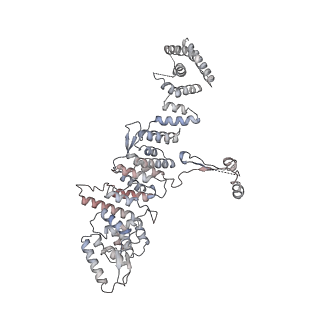 31600_7fik_G_v1-0
The cryo-EM structure of the CR subunit from X. laevis NPC
