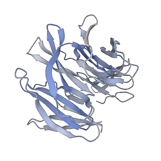 31600_7fik_H_v1-0
The cryo-EM structure of the CR subunit from X. laevis NPC
