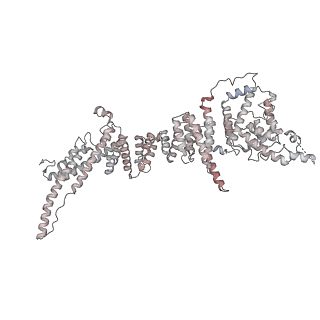 31600_7fik_I_v1-0
The cryo-EM structure of the CR subunit from X. laevis NPC