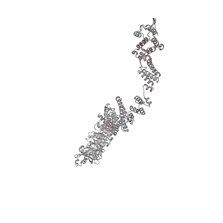 31600_7fik_J_v1-0
The cryo-EM structure of the CR subunit from X. laevis NPC