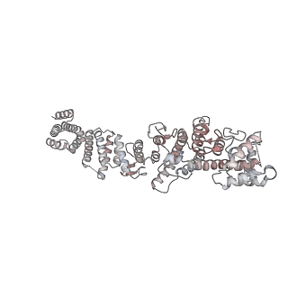 31600_7fik_P_v1-0
The cryo-EM structure of the CR subunit from X. laevis NPC