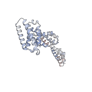 31600_7fik_W_v1-0
The cryo-EM structure of the CR subunit from X. laevis NPC