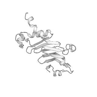 31600_7fik_X_v1-0
The cryo-EM structure of the CR subunit from X. laevis NPC
