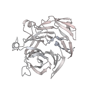 31600_7fik_Y_v1-0
The cryo-EM structure of the CR subunit from X. laevis NPC