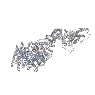 31600_7fik_a_v1-0
The cryo-EM structure of the CR subunit from X. laevis NPC