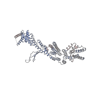 31600_7fik_b_v1-0
The cryo-EM structure of the CR subunit from X. laevis NPC