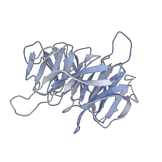 31600_7fik_c_v1-0
The cryo-EM structure of the CR subunit from X. laevis NPC