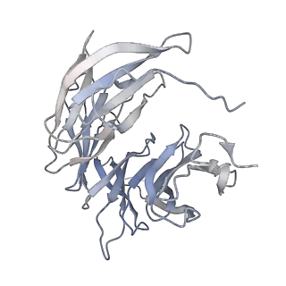 31600_7fik_d_v1-0
The cryo-EM structure of the CR subunit from X. laevis NPC