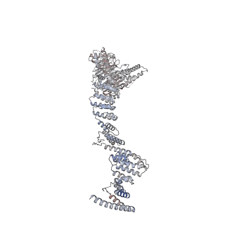 31600_7fik_e_v1-0
The cryo-EM structure of the CR subunit from X. laevis NPC