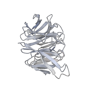 31600_7fik_f_v1-0
The cryo-EM structure of the CR subunit from X. laevis NPC