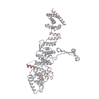 31600_7fik_g_v1-0
The cryo-EM structure of the CR subunit from X. laevis NPC