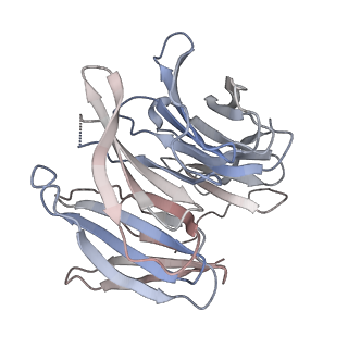 31600_7fik_h_v1-0
The cryo-EM structure of the CR subunit from X. laevis NPC