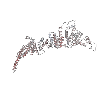 31600_7fik_i_v1-0
The cryo-EM structure of the CR subunit from X. laevis NPC