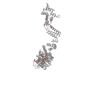 31600_7fik_j_v1-0
The cryo-EM structure of the CR subunit from X. laevis NPC