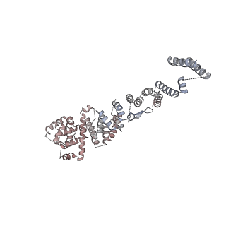 31600_7fik_p_v1-0
The cryo-EM structure of the CR subunit from X. laevis NPC