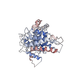 31602_7fil_A_v1-2
The cryo-EM structure of the NTD2 from the X. laevis Nup358