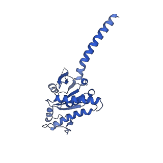 31604_7fin_A_v1-1
Cryo-EM structure of the GIPR/GLP-1R/GCGR triagonist peptide 20-bound human GIPR-Gs complex