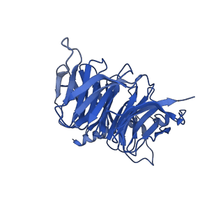 31604_7fin_B_v1-1
Cryo-EM structure of the GIPR/GLP-1R/GCGR triagonist peptide 20-bound human GIPR-Gs complex