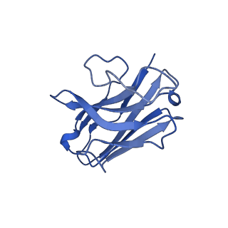 31604_7fin_N_v1-1
Cryo-EM structure of the GIPR/GLP-1R/GCGR triagonist peptide 20-bound human GIPR-Gs complex