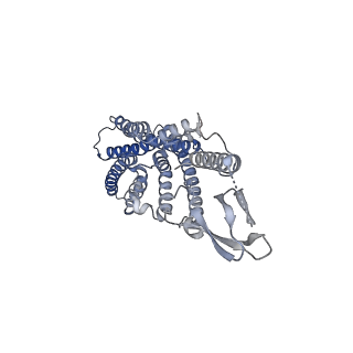 31604_7fin_R_v1-1
Cryo-EM structure of the GIPR/GLP-1R/GCGR triagonist peptide 20-bound human GIPR-Gs complex