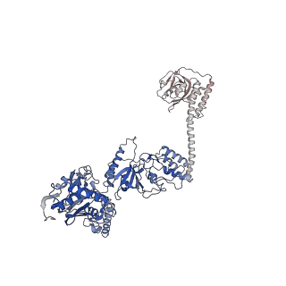 31607_7fiz_B_v1-0
Processive cleavage of substrate at individual proteolytic active sites of the Lon protease complex (conformation 3)
