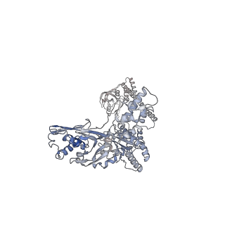 31607_7fiz_E_v1-0
Processive cleavage of substrate at individual proteolytic active sites of the Lon protease complex (conformation 3)