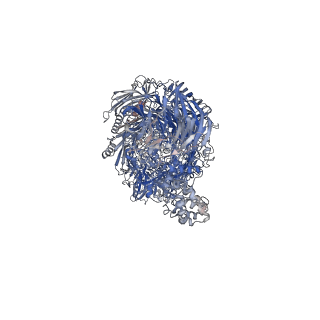 29245_8fjp_A_v1-0
Cryo-EM structure of native mosquito salivary gland surface protein 1 (SGS1)