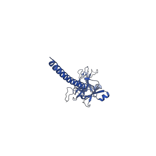 31620_7fjf_n_v1-0
Cryo-EM structure of a membrane protein(CS)